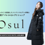 Thumbnail of related posts 069